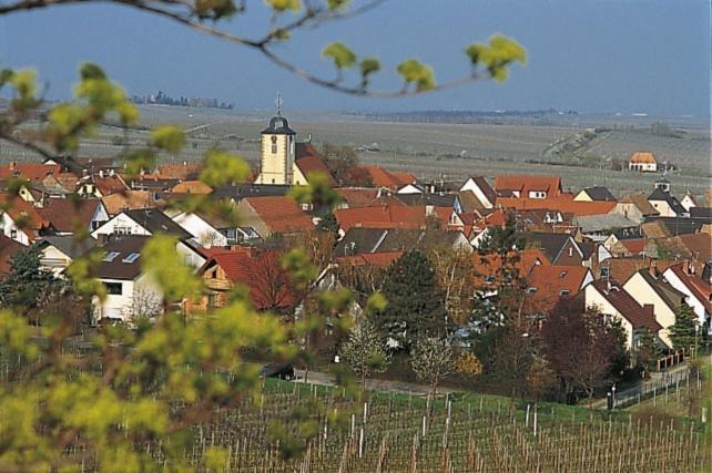 Pfaelzer Landhotel Heinrich Bad Dürkheim Εξωτερικό φωτογραφία